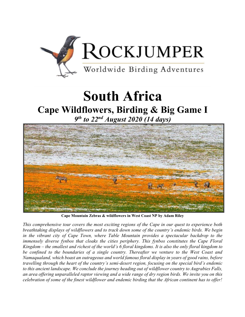 South Africa Cape Wildflowers, Birding & Big Game I 9Th to 22Nd August 2020
