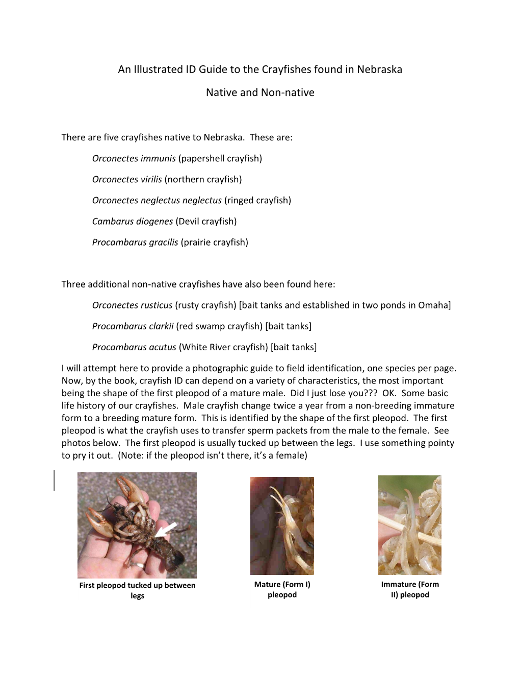 An Illustrated ID Guide to the Crayfishes Found in Nebraska Native and Non-Native