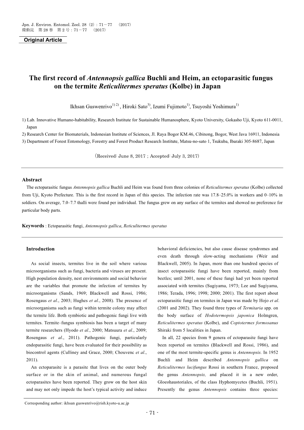 The First Record of Antennopsis Gallica Buchli and Heim, an Ectoparasitic Fungus on the Termite Reticulitermes Speratus (Kolbe) in Japan