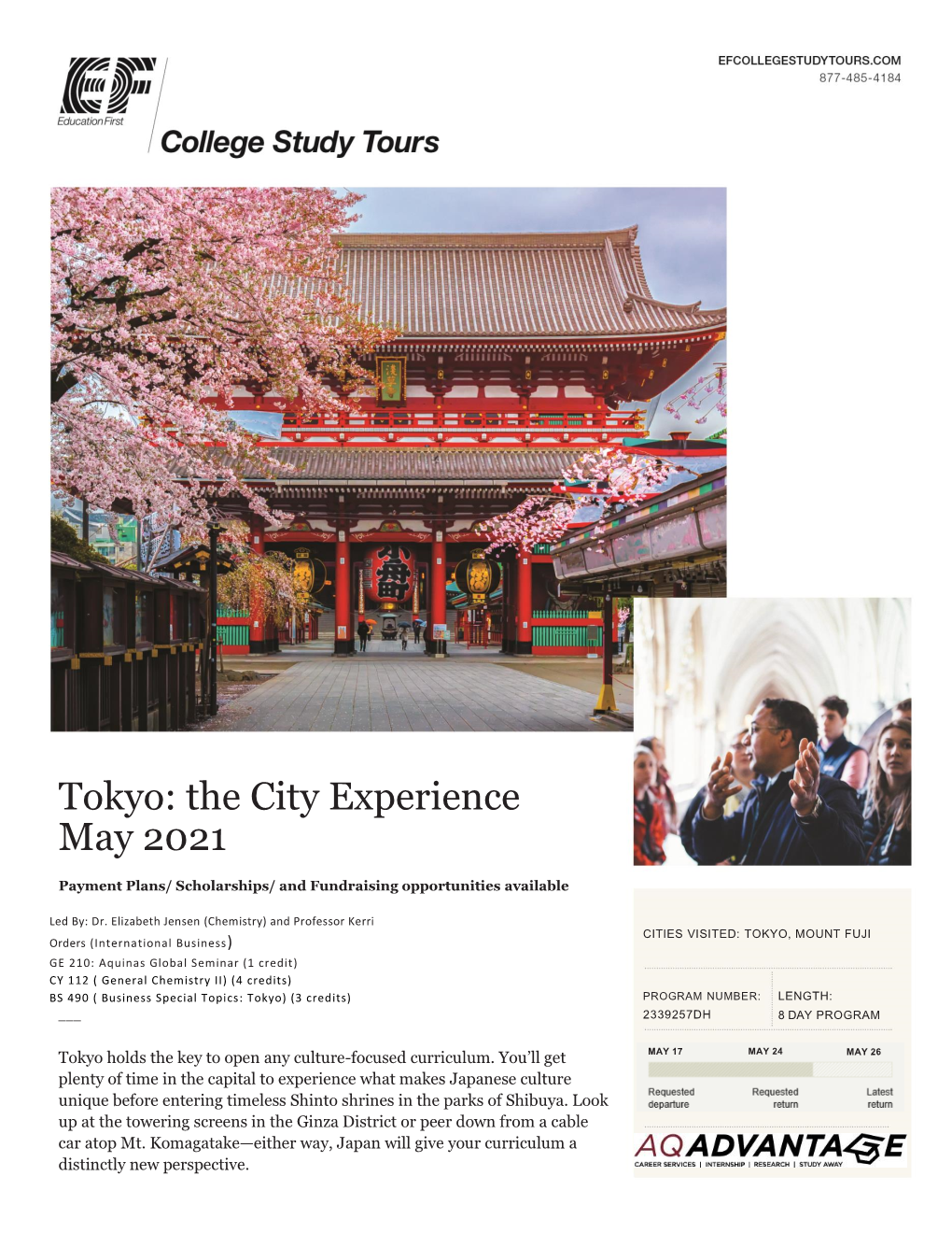 Tokyo: the City Experience May 2021