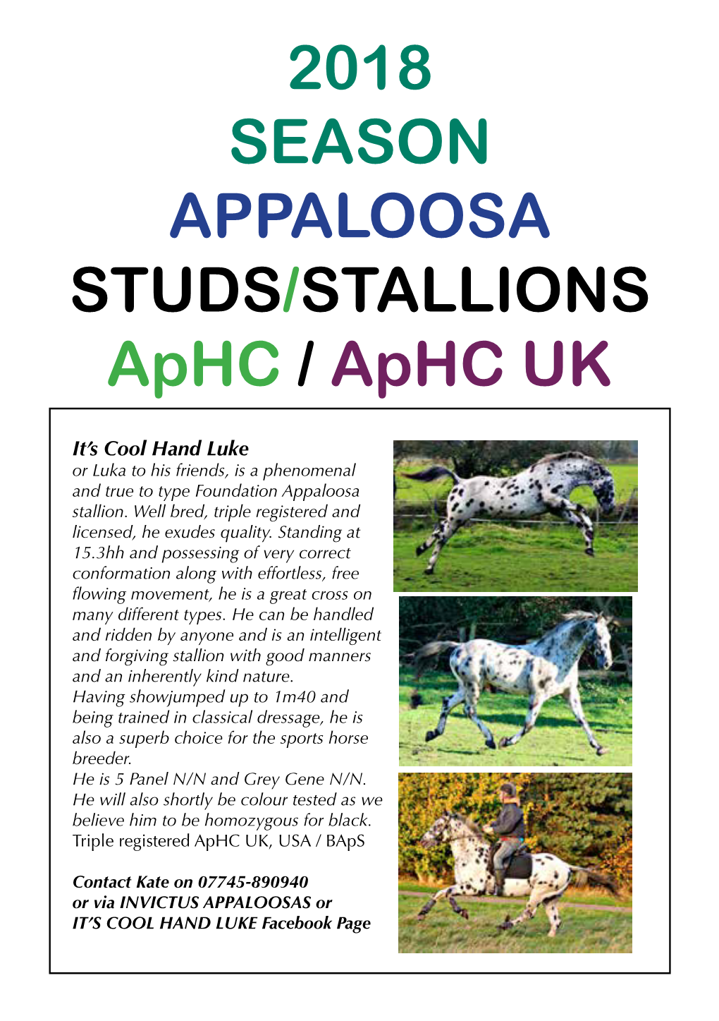 2018 SEASON APPALOOSA STUDS/STALLIONS Aphc / Aphc UK