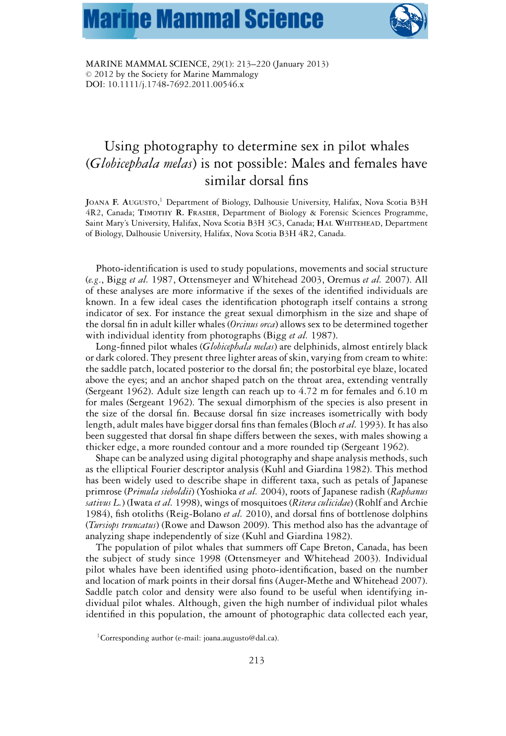 Using Photography to Determine Sex in Pilot Whales (Globicephala Melas) Is Not Possible: Males and Females Have Similar Dorsal F