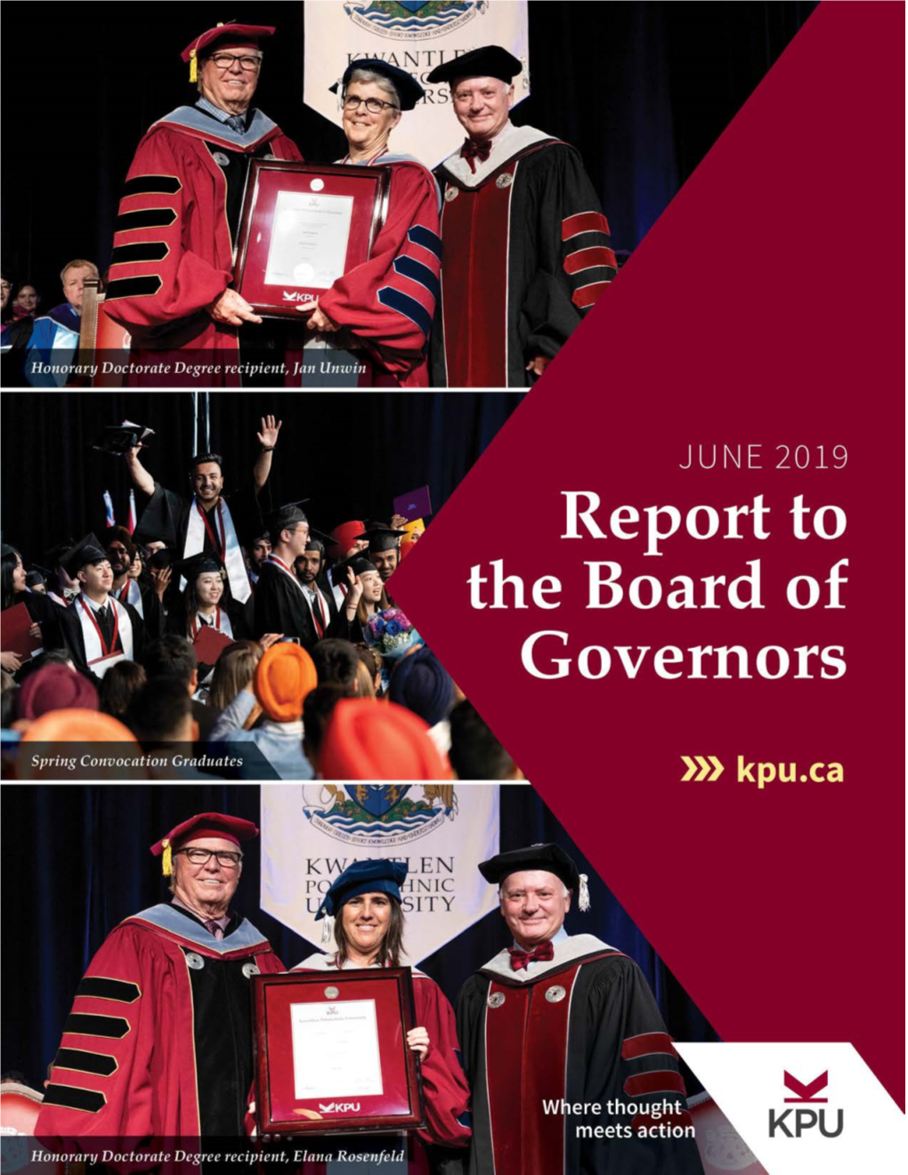 Report to the Board: June 2019