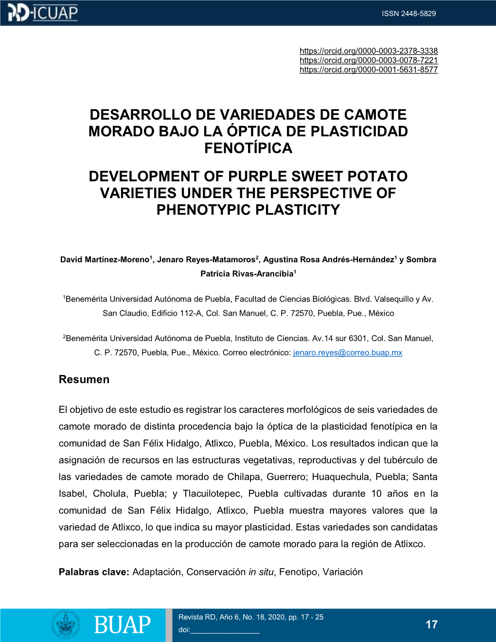 Desarrollo De Variedades De Camote Morado Bajo La