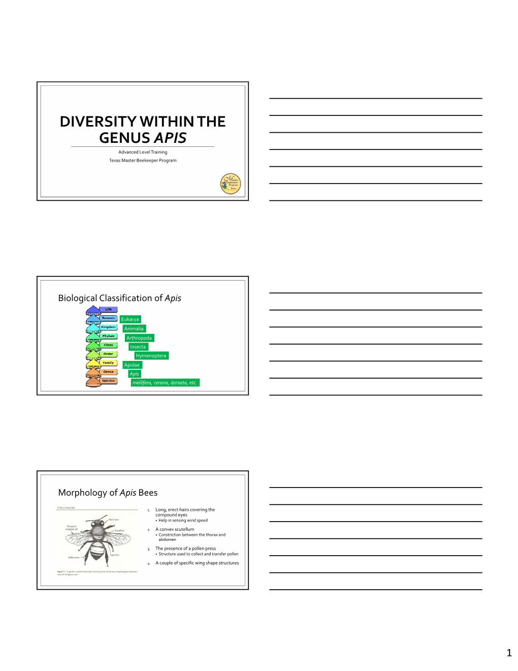 DIVERSITY WITHIN the GENUS APIS Advanced Level Training Texas Master Beekeeper Program