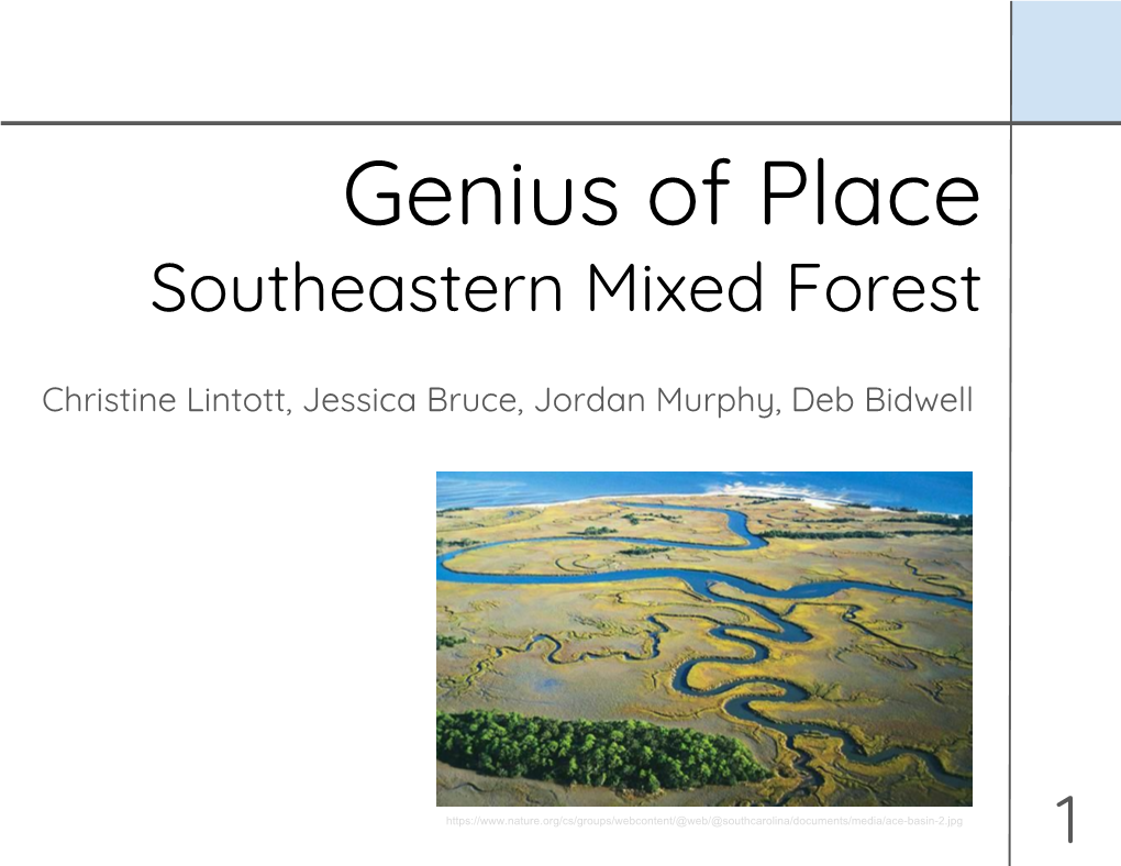 Genius of Place Southeastern Mixed Forest