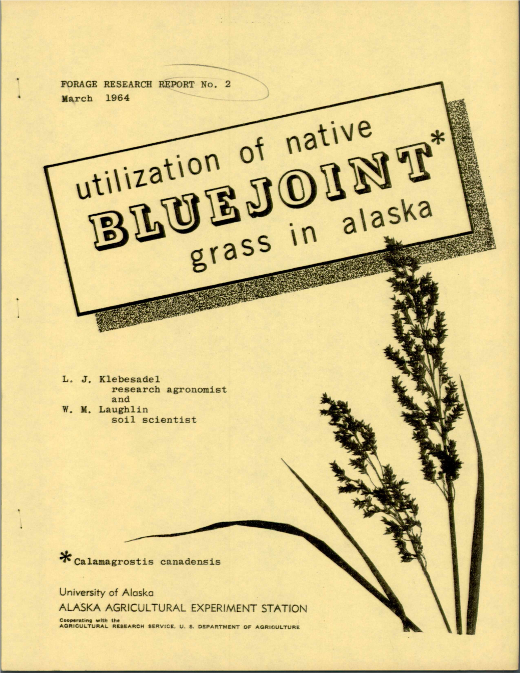 Utilization of Native Bluejoint Grass in Alaska