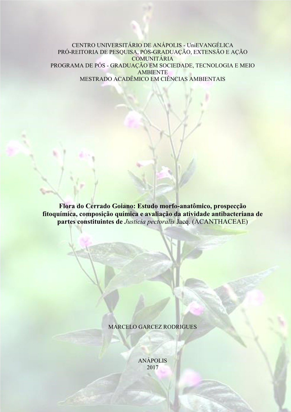Flora Do Cerrado Goiano: Estudo Morfo-Anatômico, Prospecção