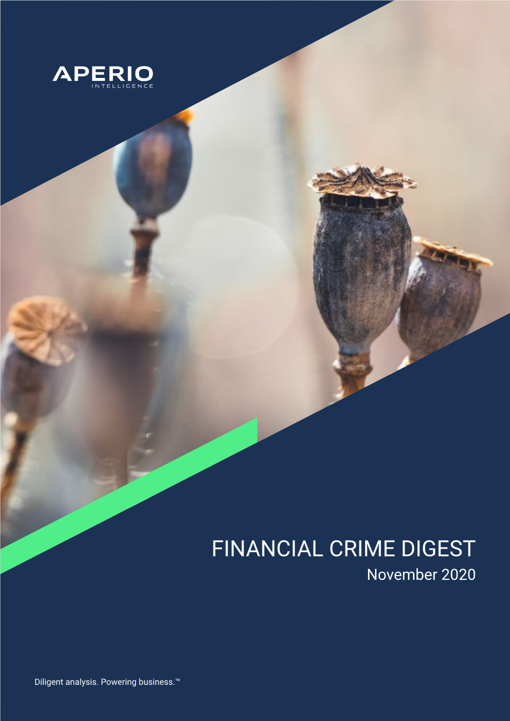 FINANCIAL CRIME DIGEST November 2020
