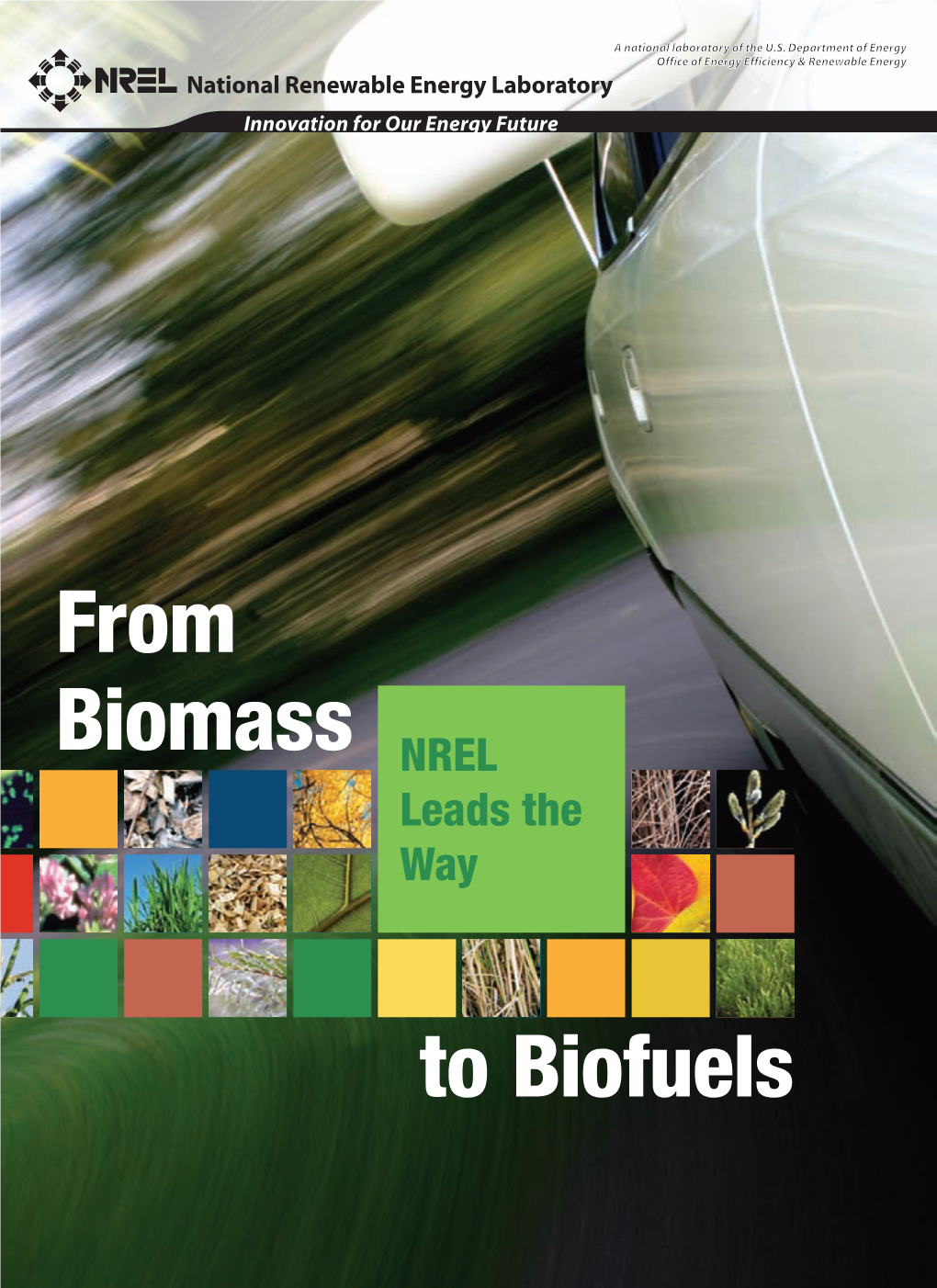 From Biomass to Biofuels: NREL Leads the Way. National Renewable Energy Laboratory (Brochure)