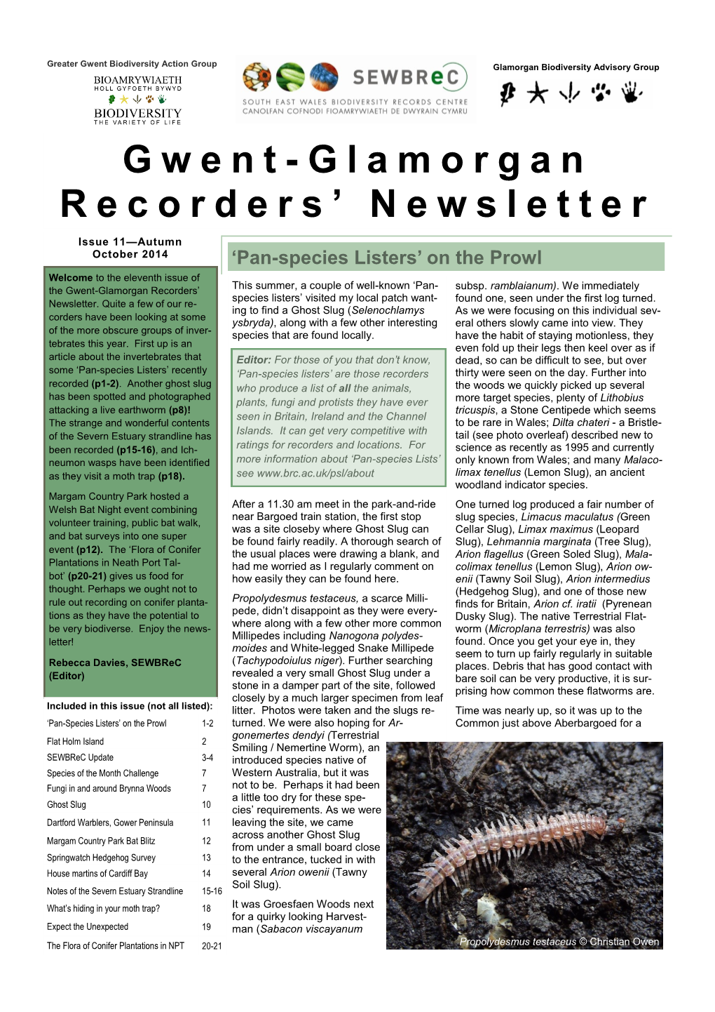 Gwent-Glamorgan Recorders' Newsletter Issue 11