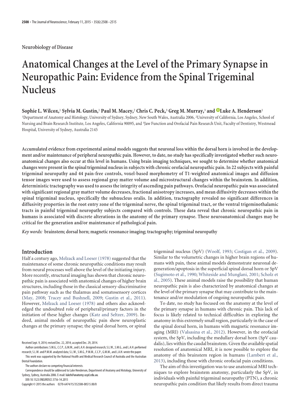 Anatomical Changes at the Level of the Primary Synapse in Neuropathic Pain: Evidence from the Spinal Trigeminal Nucleus