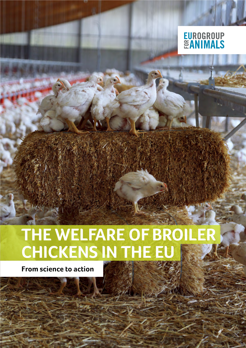 THE WELFARE of BROILER CHICKENS in the EU from Science to Action Authors (In Alphabetical Order)