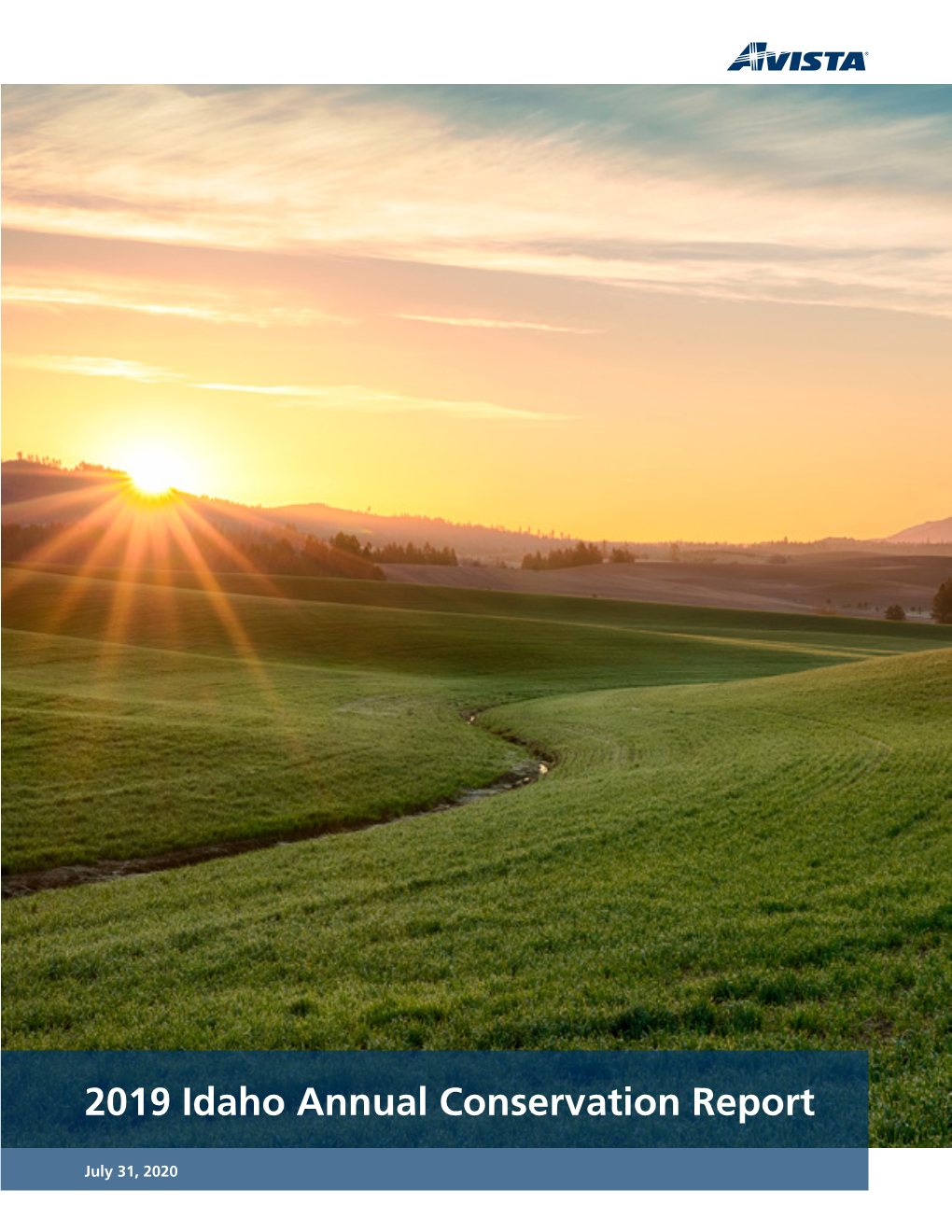 2019 Idaho Annual Conservation Report