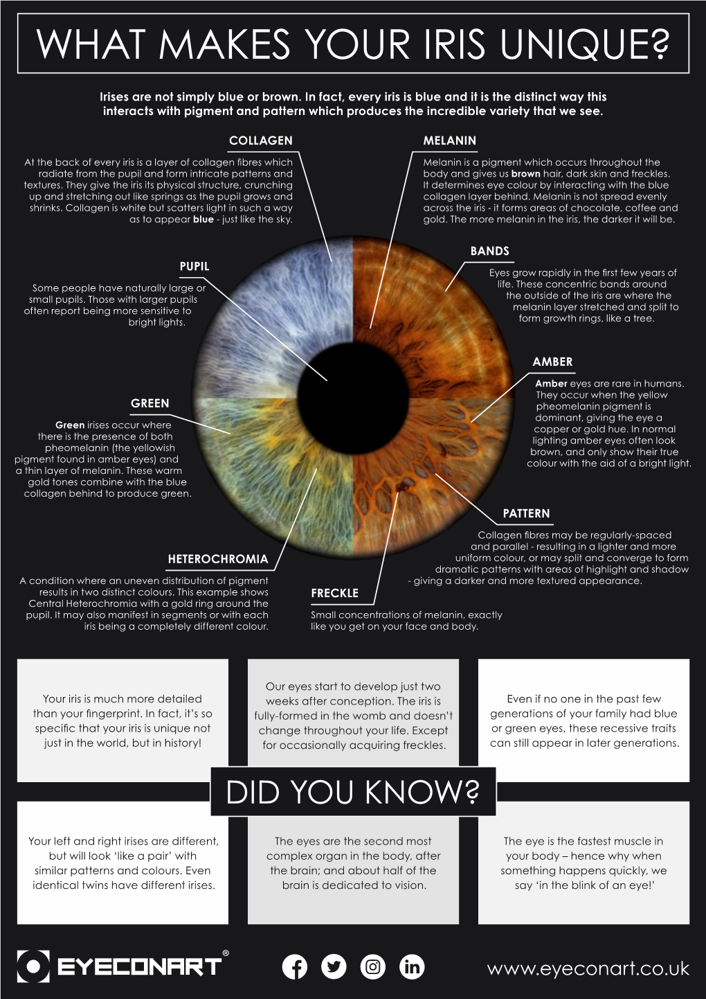 What Makes Your Iris Unique?