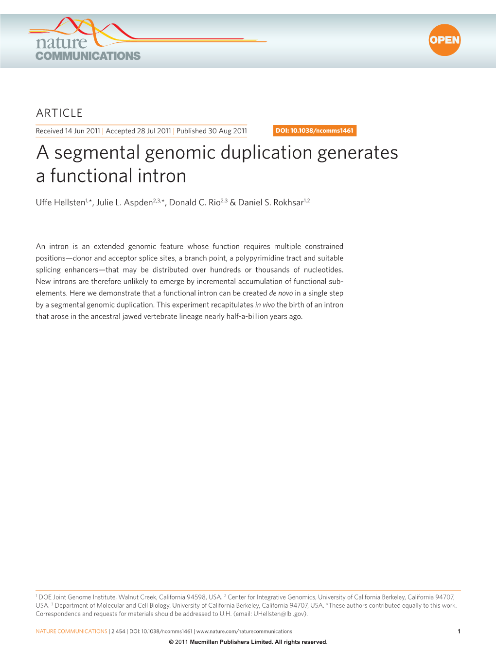 A Segmental Genomic Duplication Generates a Functional Intron