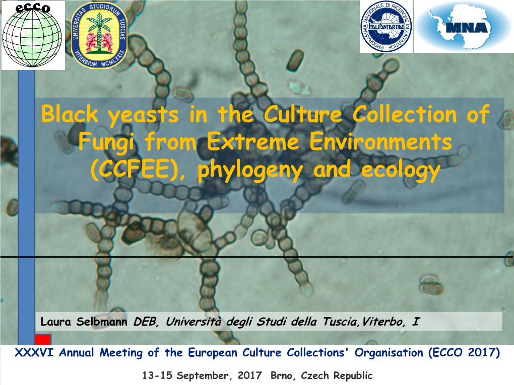 Black Yeasts in the Culture Collection of Fungi from Extreme Environments (CCFEE), Phylogeny and Ecology