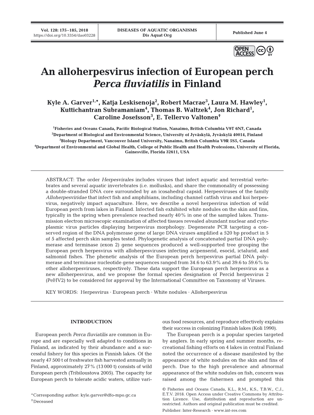 An Alloherpesvirus Infection of European Perch Perca Fluviatilis in Finland