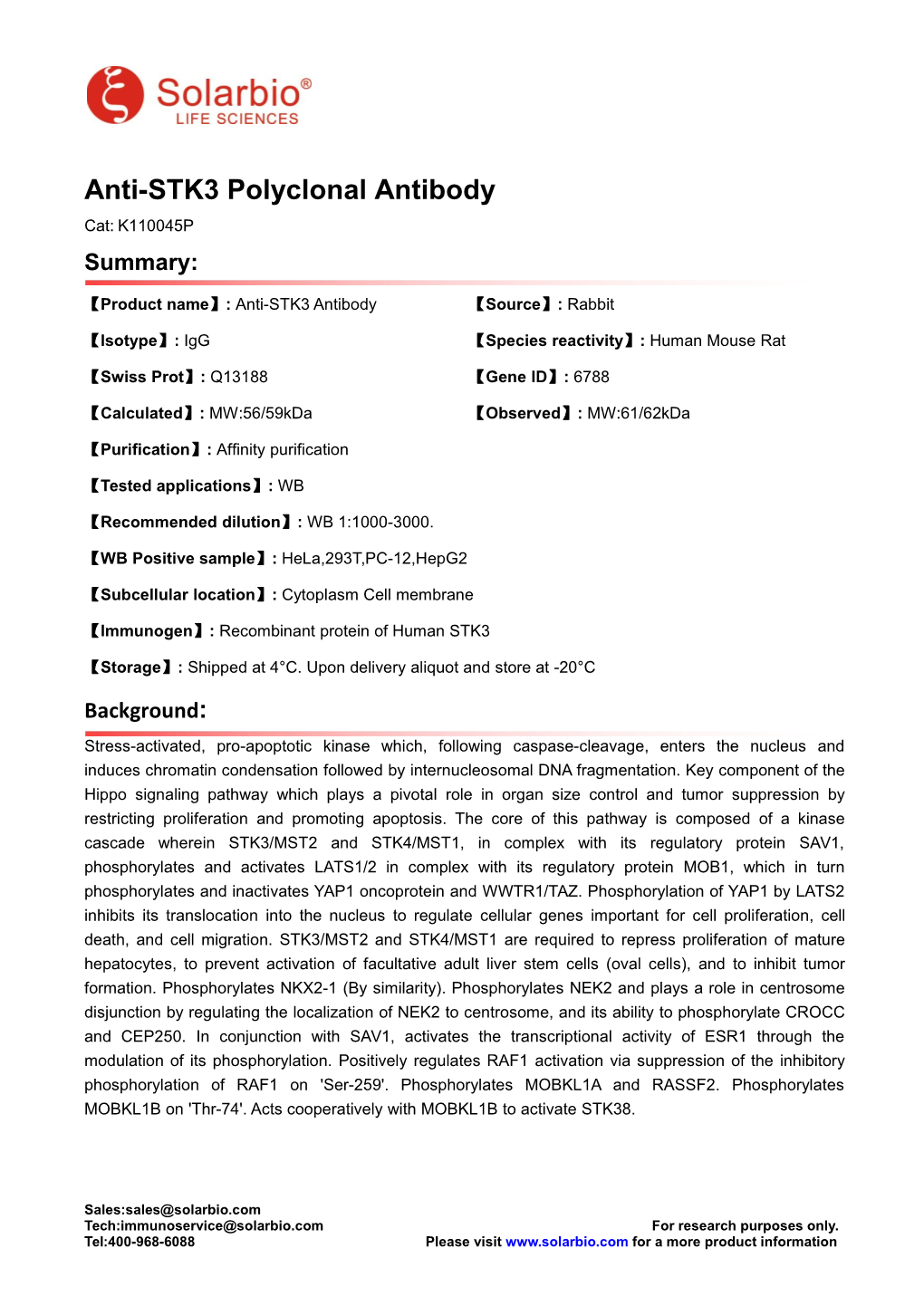 Anti-STK3 Polyclonal Antibody Cat: K110045P Summary