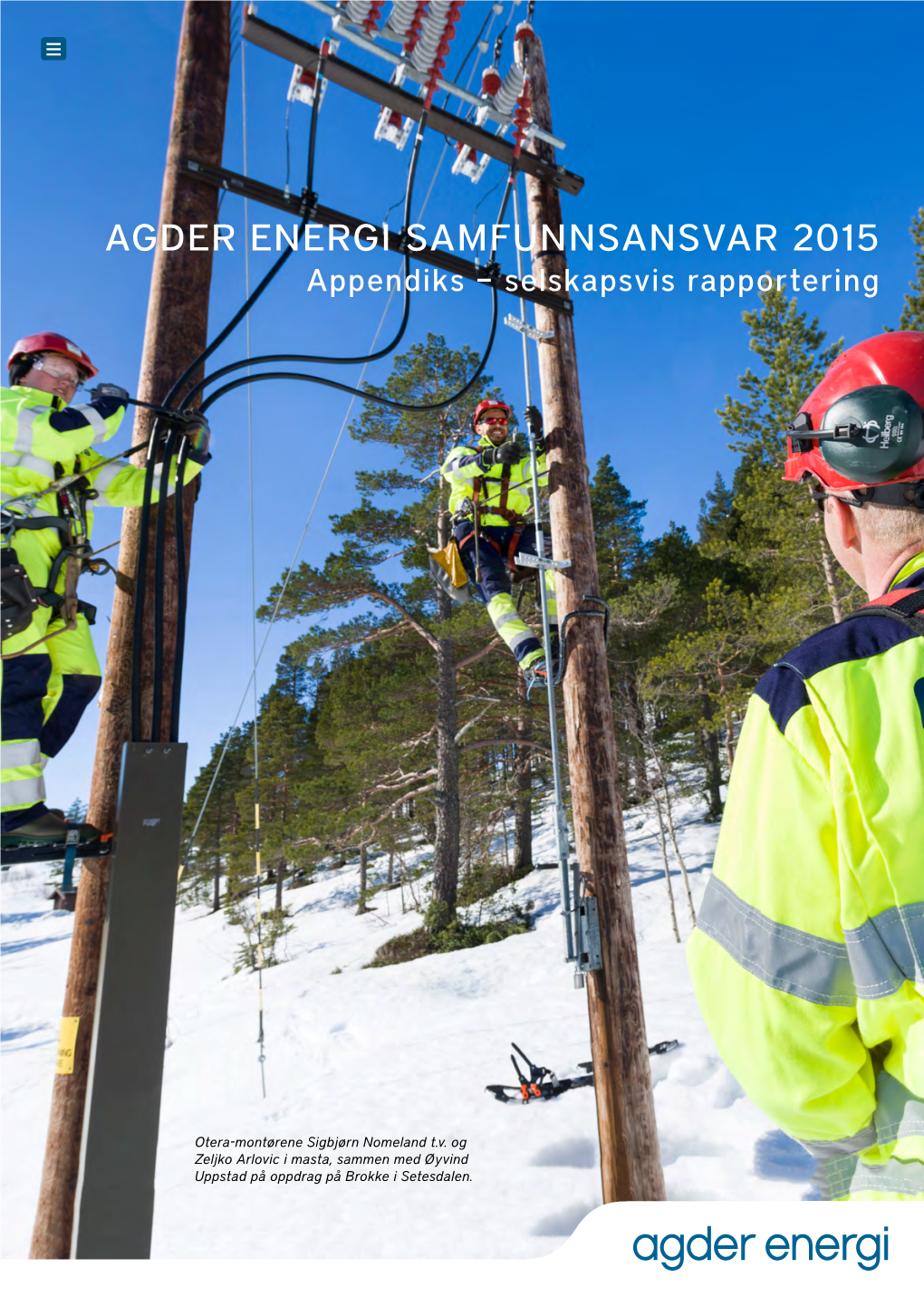 Agder Energi Samfunnsansvar 2015.Pdf
