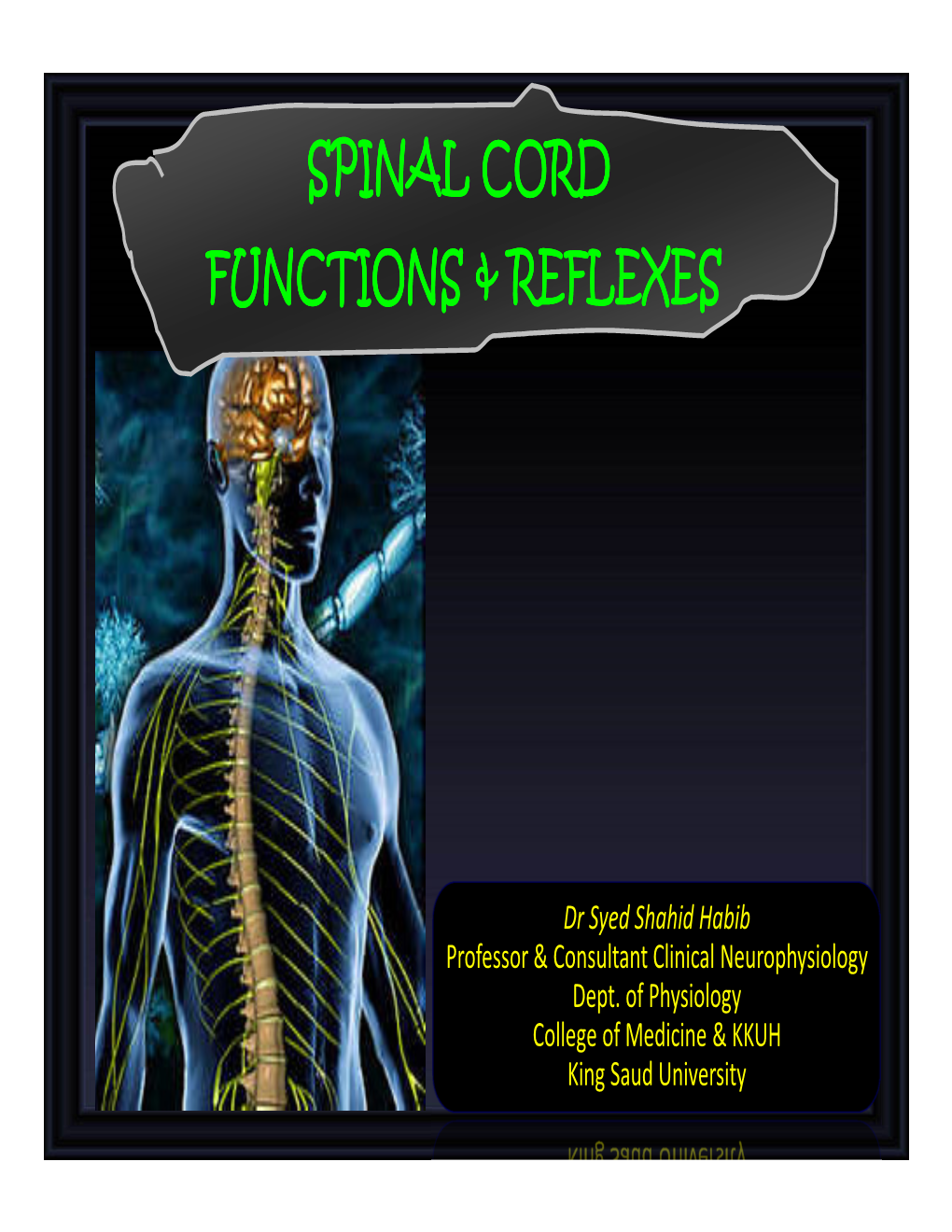 Spinal Cord Functions & Reflexes