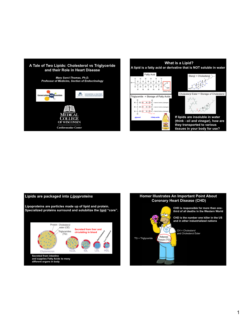 A Tale of Two Lipids: Cholesterol Vs Triglyceride and Their Role in Heart