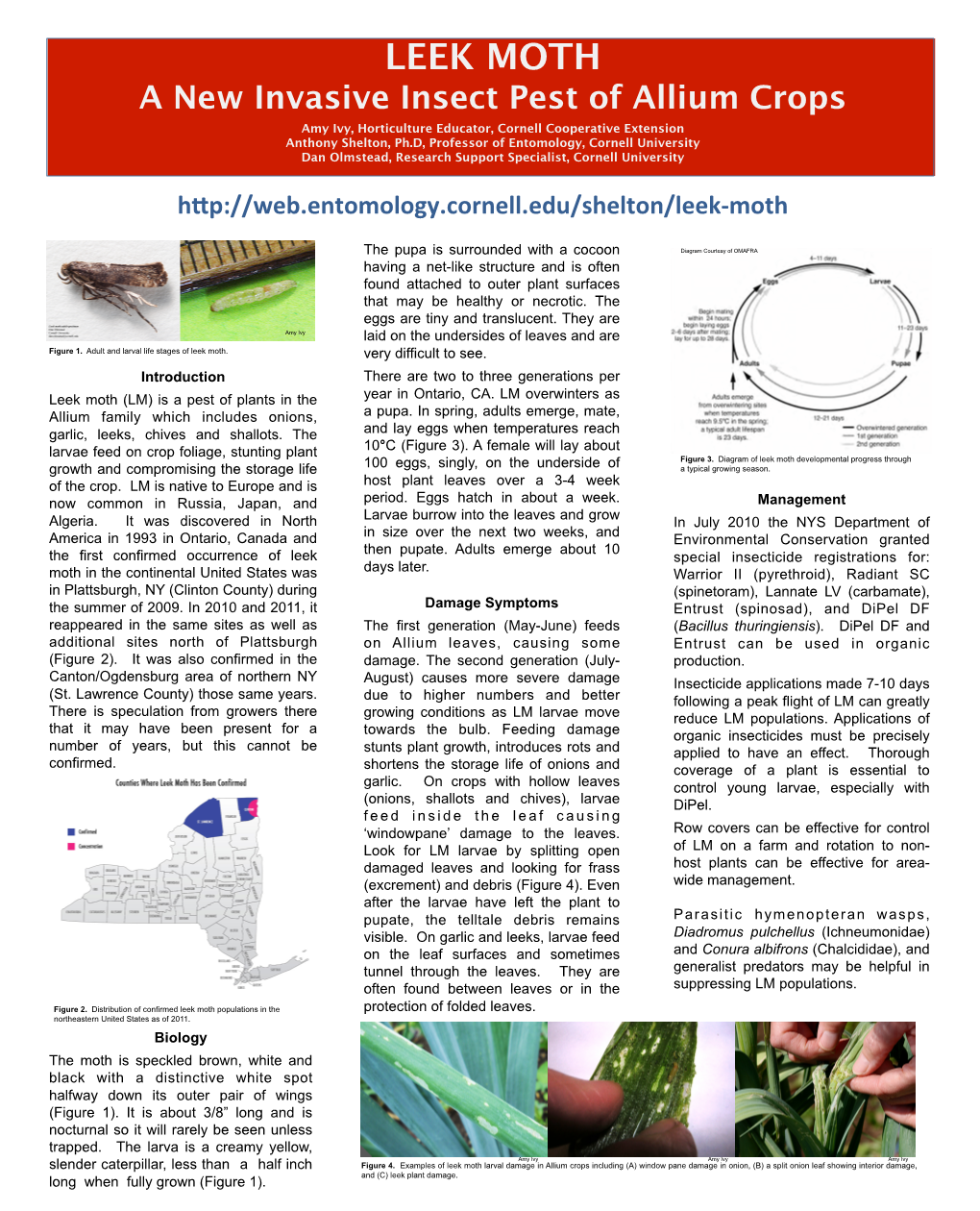 Leek Moth: a New Invasive Insect Pest of Allium Crops