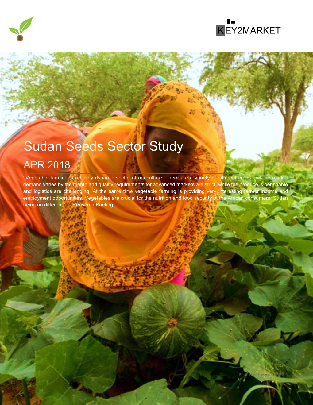 Sudan Seeds Sector Study