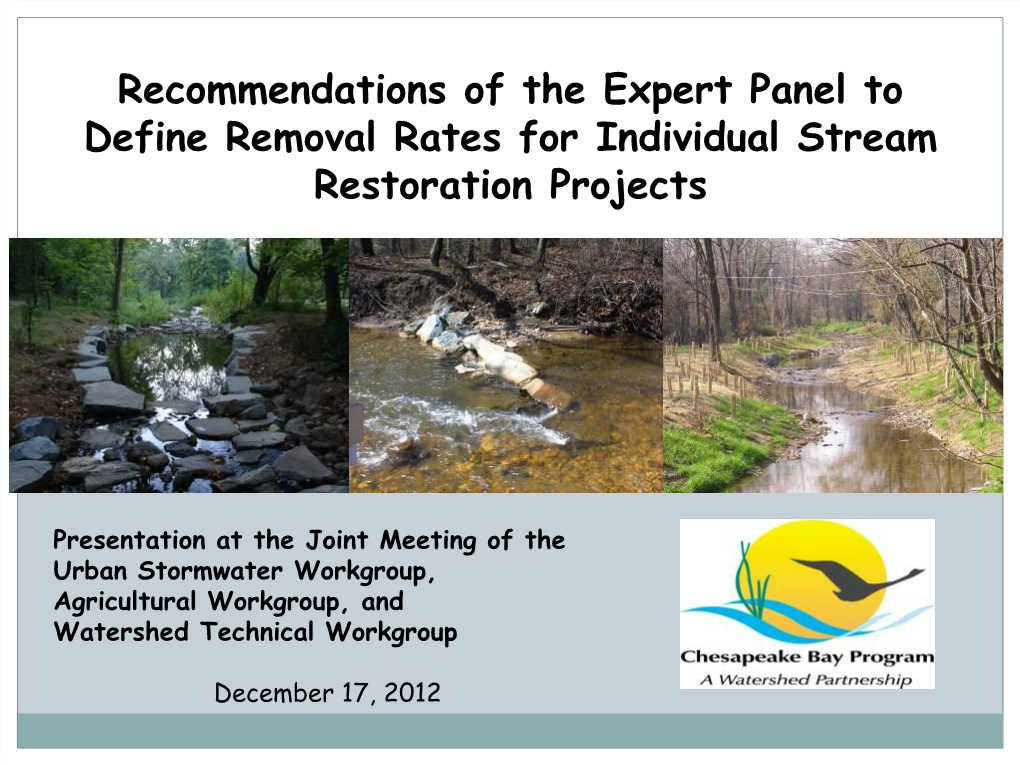 Recommendations of the Expert Panel to Define Removal Rates for Individual Stream Restoration Projects