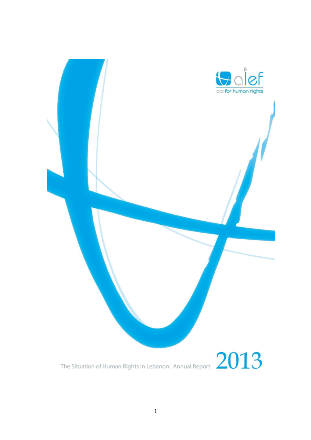 Annual Human Rights Report 2013