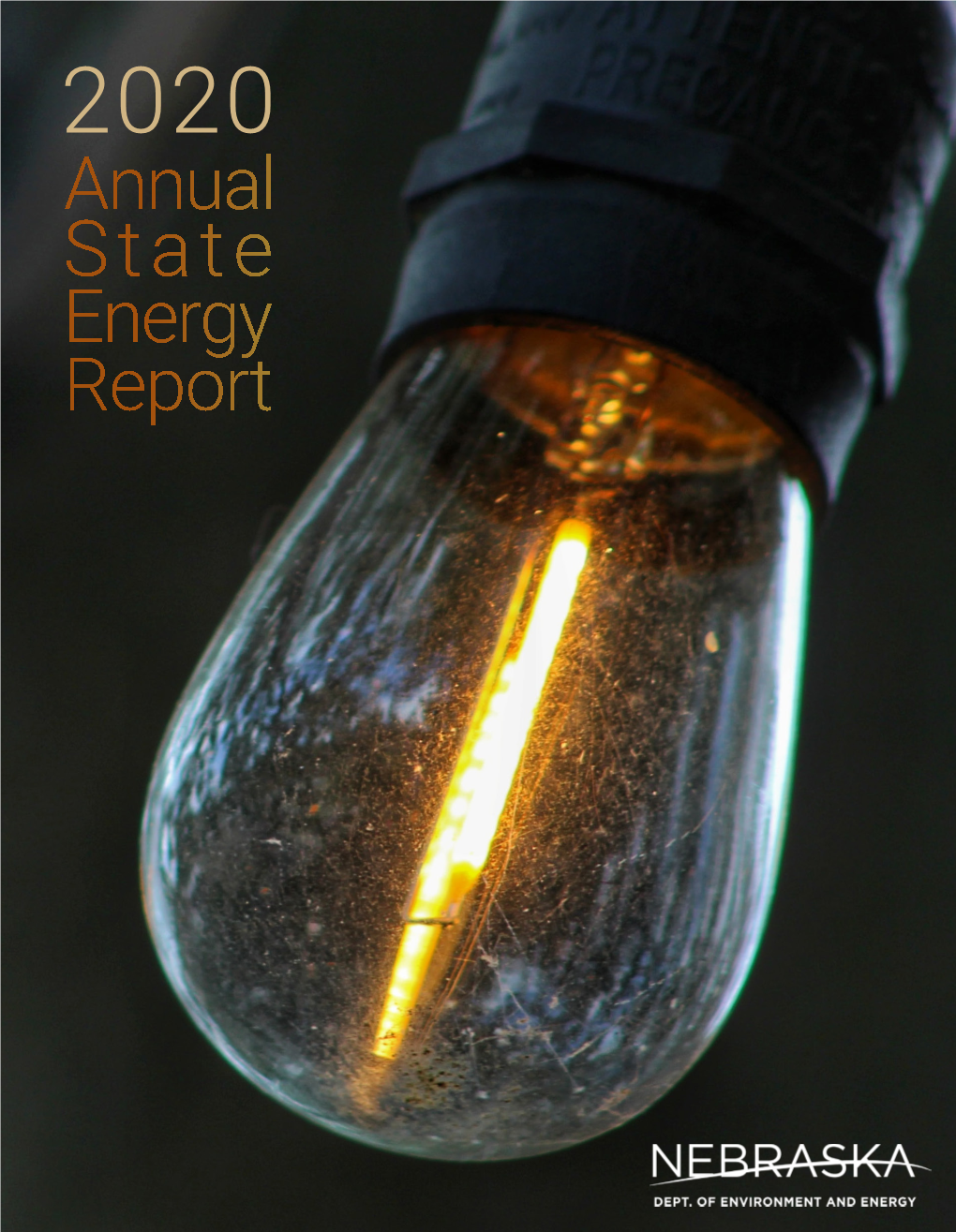 Report Annual Energy