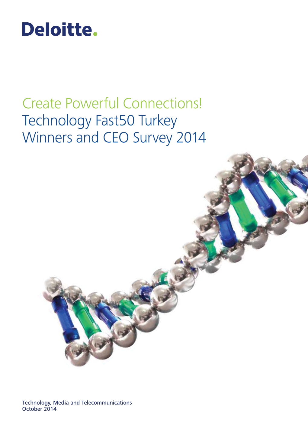 Technology Fast50 Turkey Winners and CEO Survey 2014