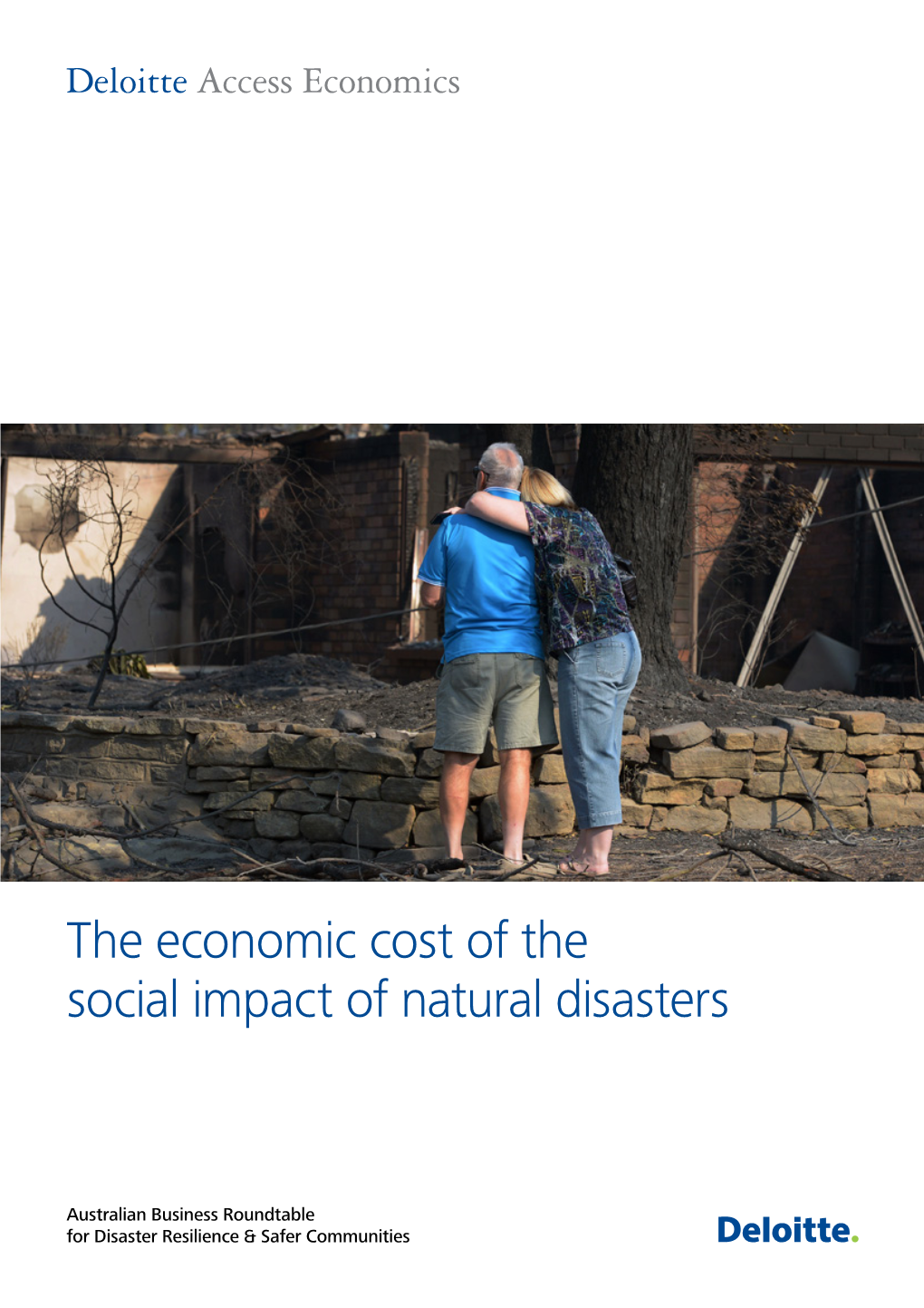 The Economic Cost of the Social Impact of Natural Disasters