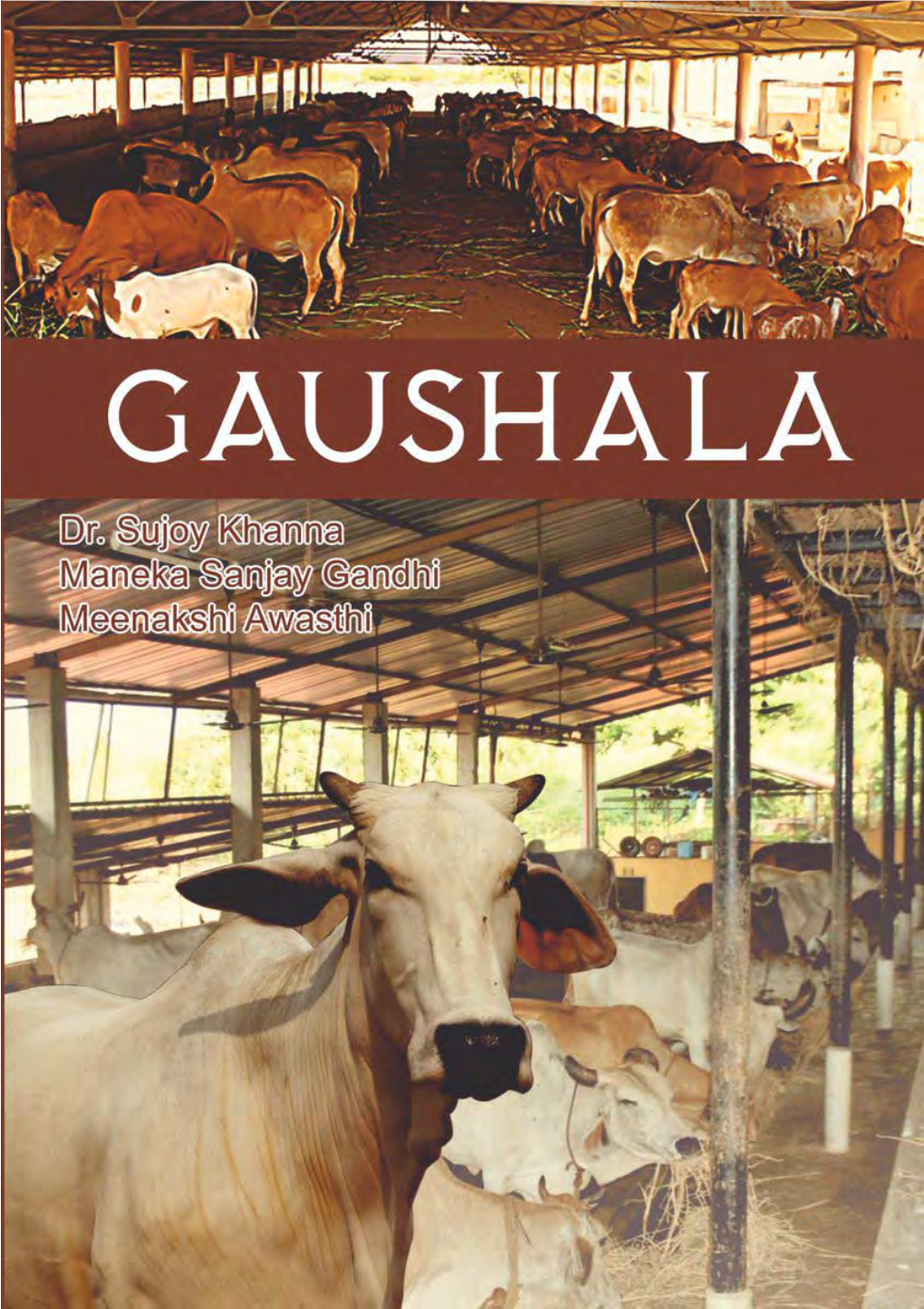 Gaushalas Believe That Simply Confining Cattle in an Enclosure and Putting Feed, Fodder (Dry and Green) and Water for Them Is All They Have to Do