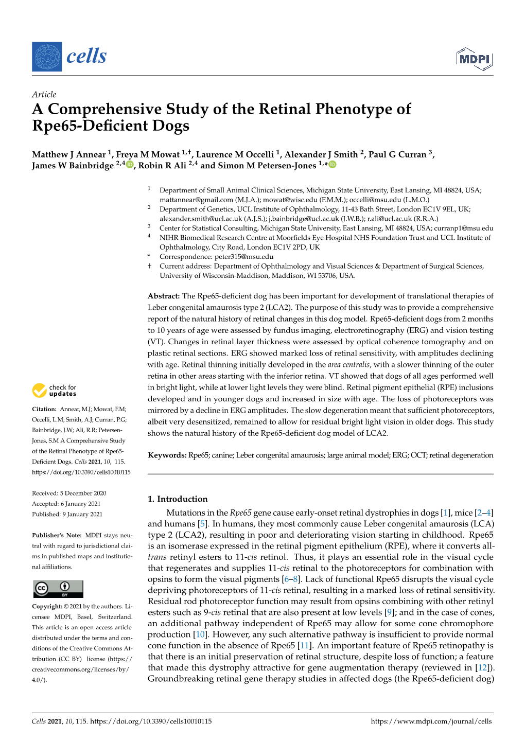 A Comprehensive Study of the Retinal Phenotype of Rpe65-Deficient Dogs