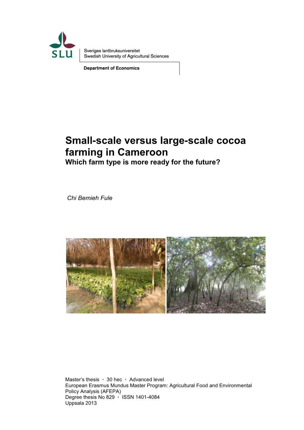 Small-Scale Versus Large-Scale Cocoa Farming in Cameroon Which Farm Type Is More Ready for the Future?
