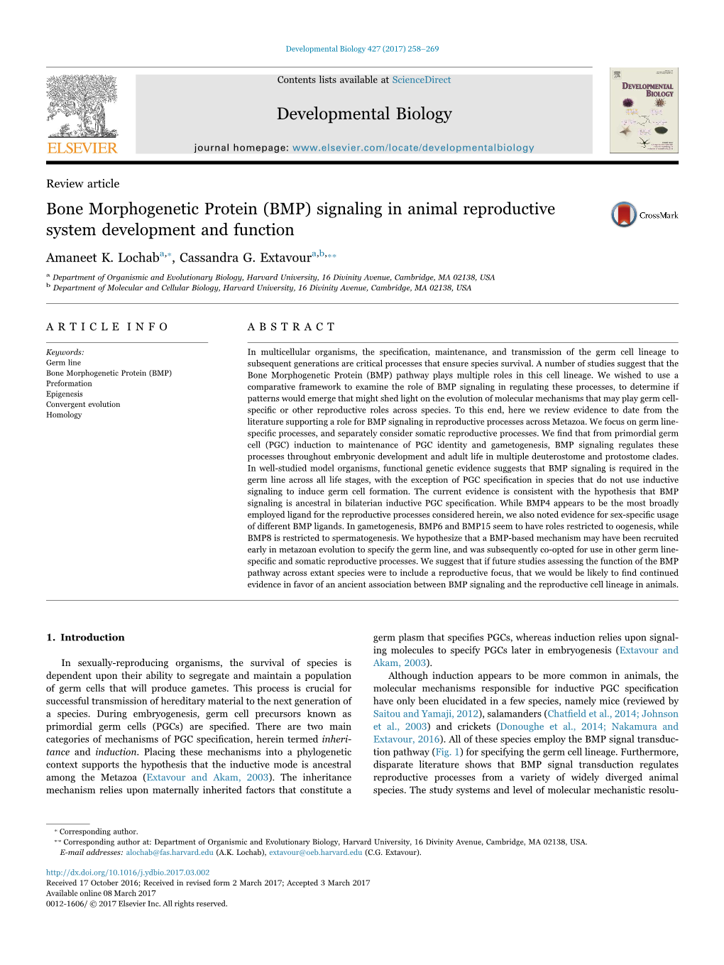 Bone Morphogenetic Protein (BMP) Signaling in Animal Reproductive MARK System Development and Function ⁎ Amaneet K