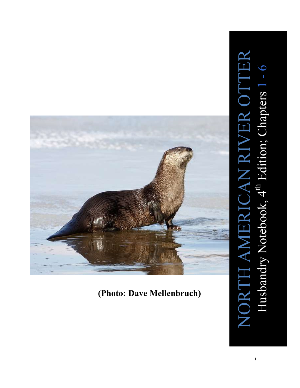 North American River Otter (Lontra Canadensis) (Chapters 1-6)