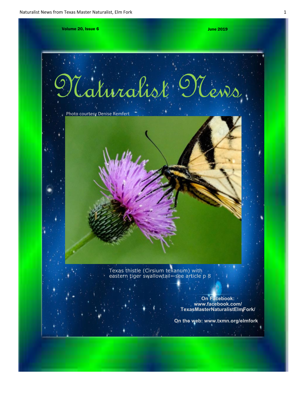 Cirsium Texanum) with Eastern Tiger Swallowtail—See Article P 8