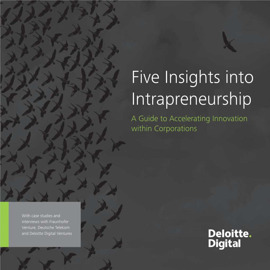 Five Insights Into Intrapreneurship a Guide to Accelerating Innovation Within Corporations