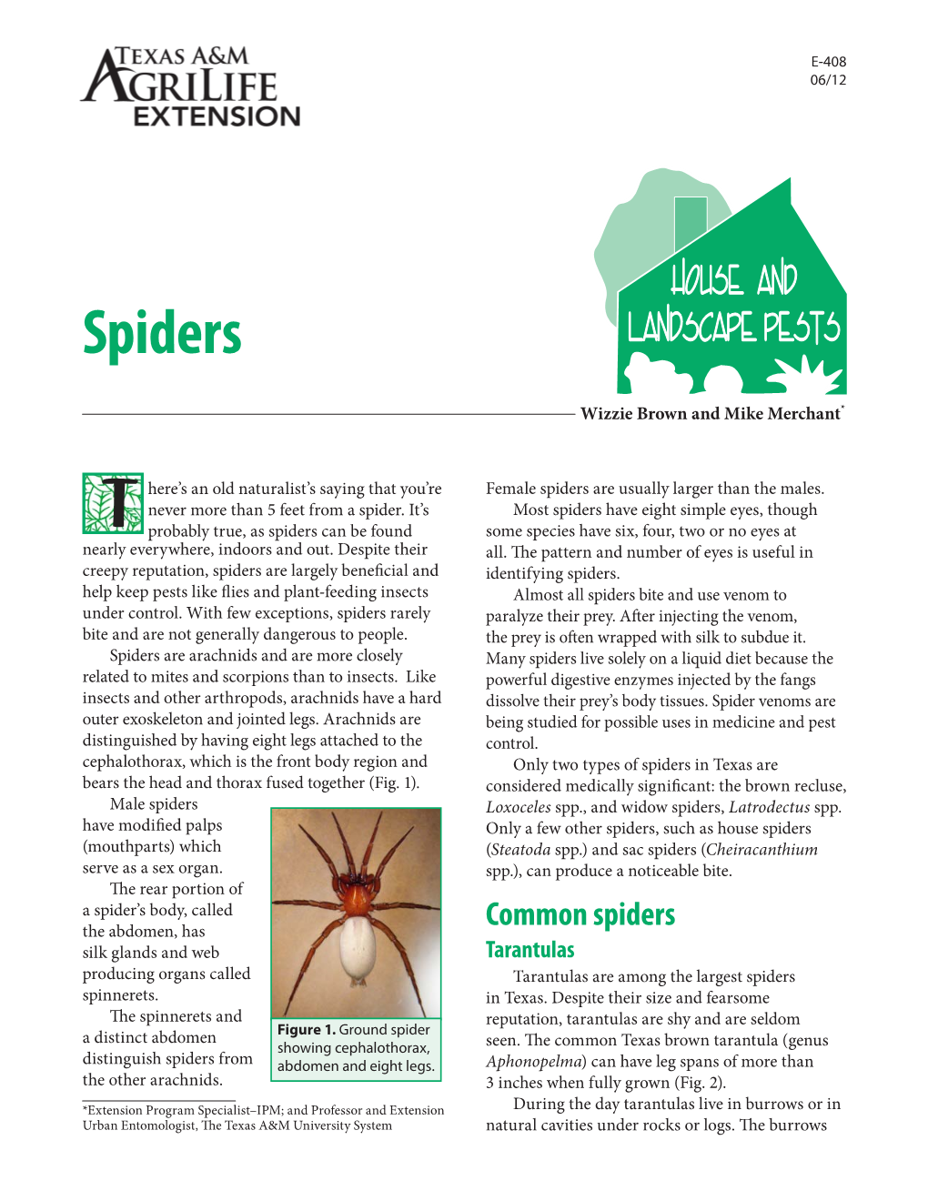 Spiders House and Landscape Pests