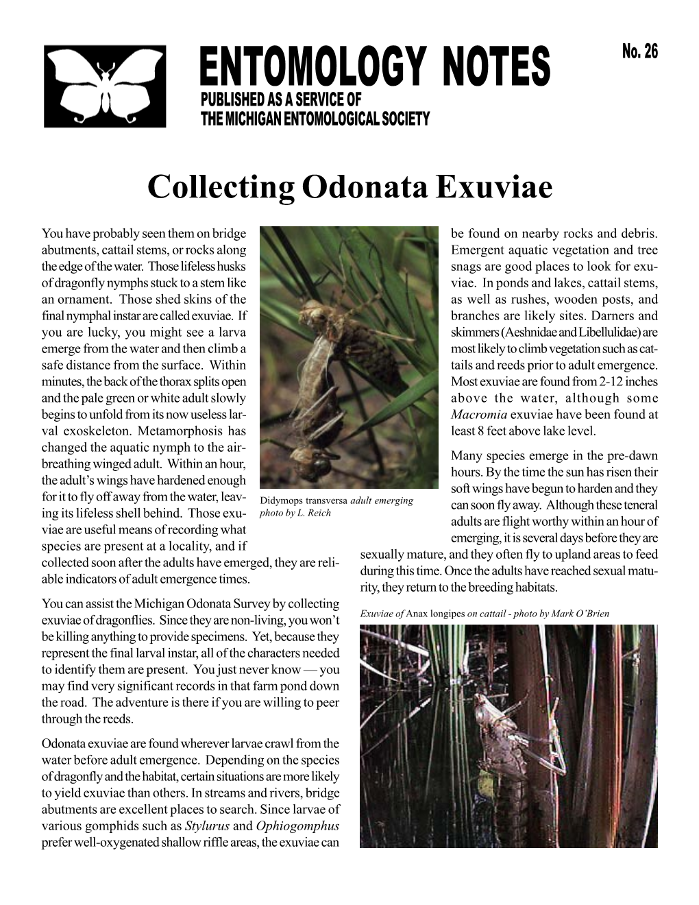 Collecting Odonata Exuviae