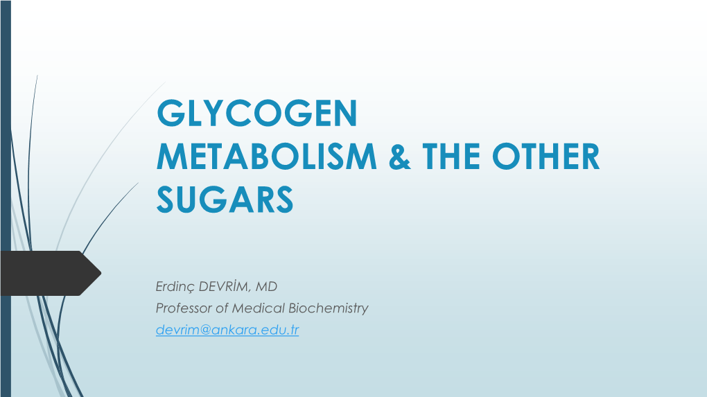 Glycogen Phosphorylase