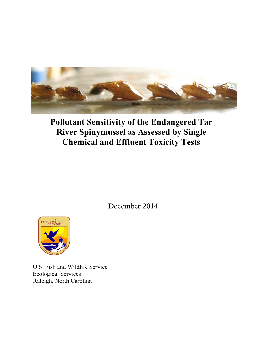 Pdf Version of This Report