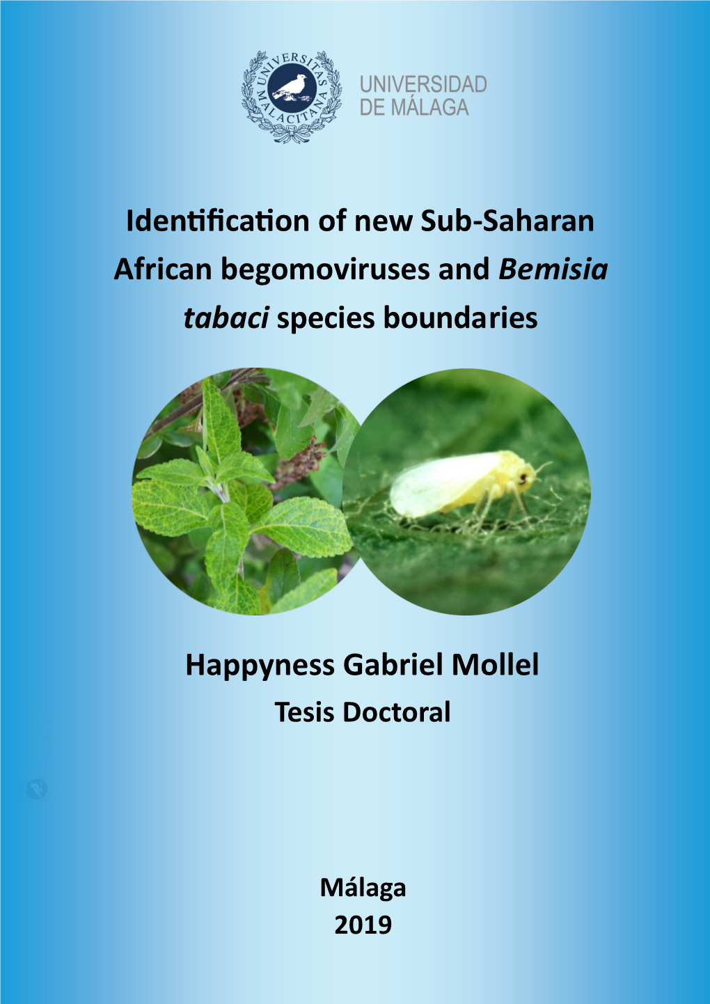 Identification of New Sub-Saharan African Begomoviruses and Bemisia Tabaci Species Boundaries