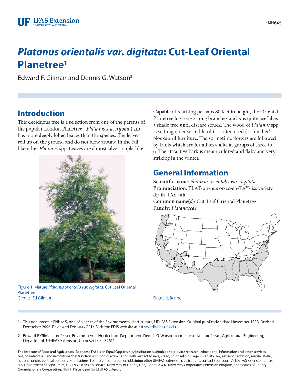 Platanus Orientalis Var. Digitata: Cut-Leaf Oriental Planetree1 Edward F