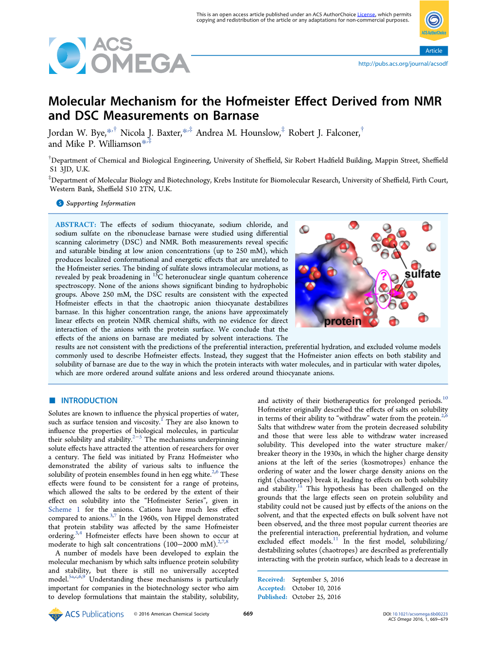 Molecular Mechanism for the Hofmeister Effect Derived From