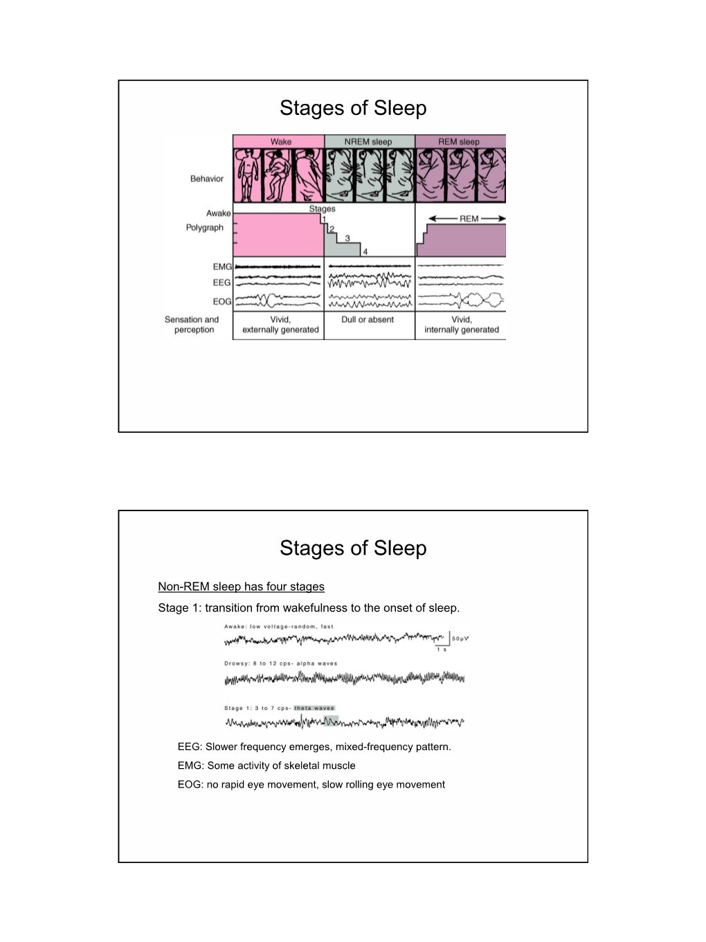 Stages of Sleep Stages of Sleep