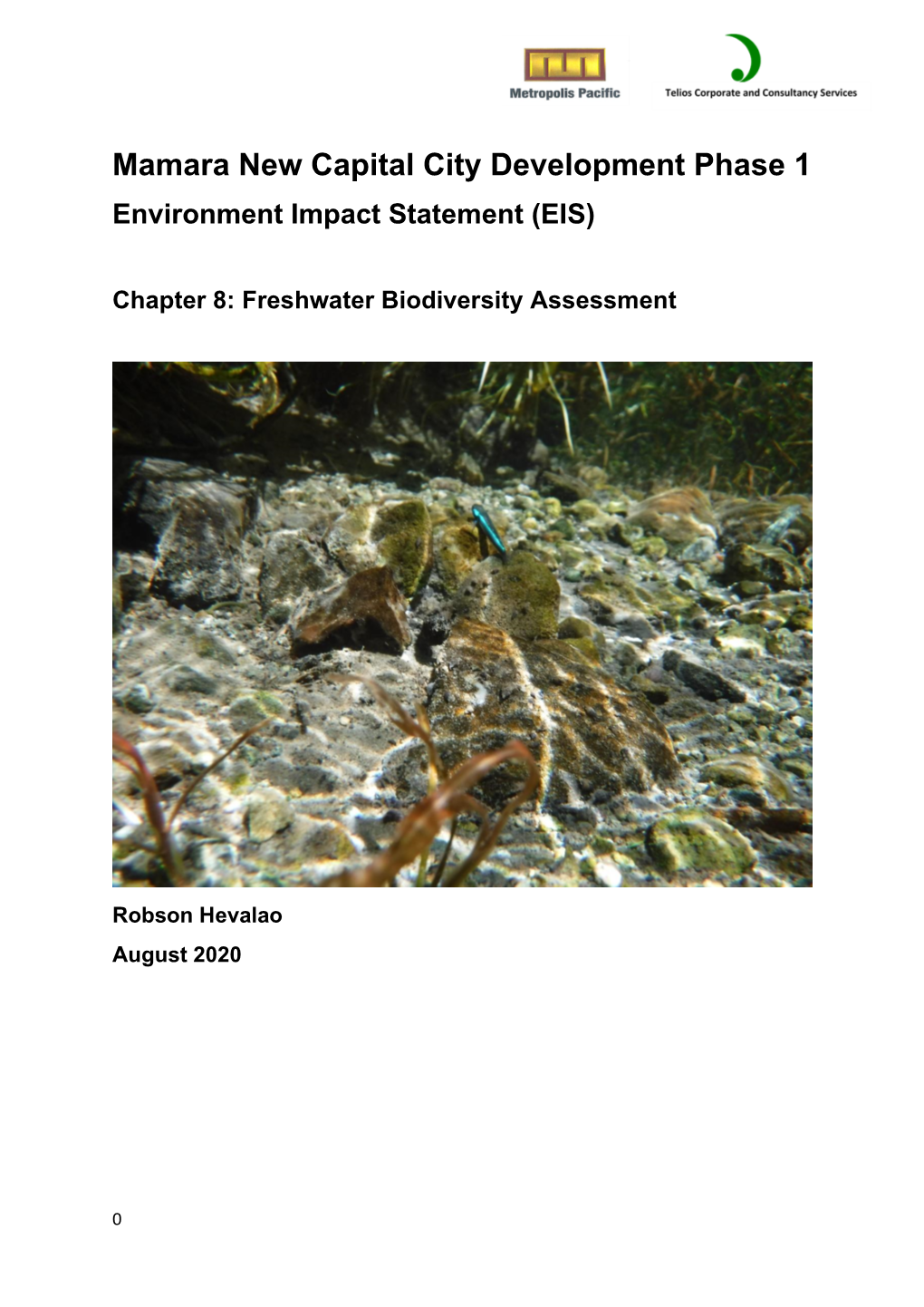 Mamara New Capital City Development Phase 1 Environment Impact Statement (EIS)