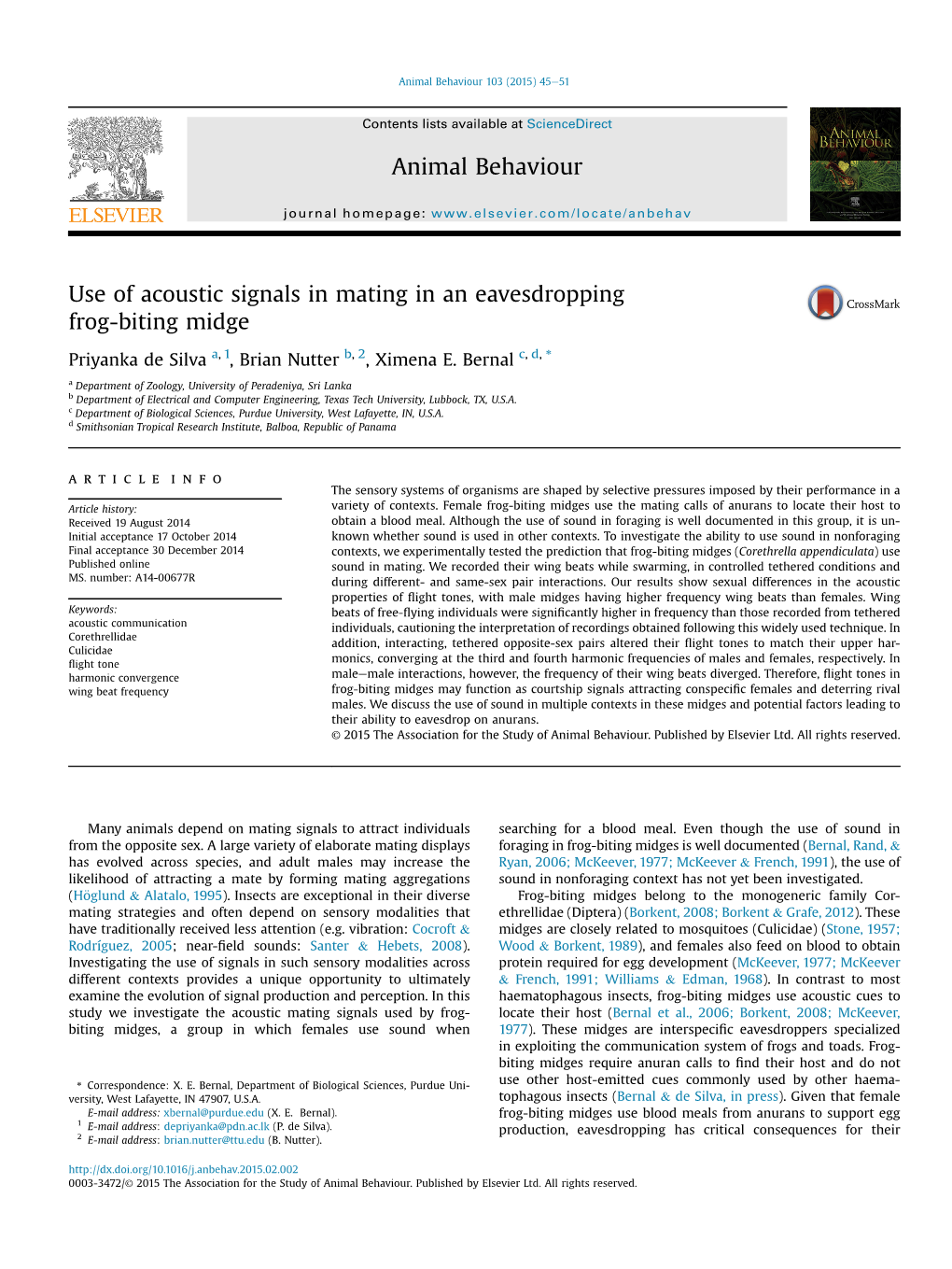 Use of Acoustic Signals in Mating in an Eavesdropping Frog-Biting Midge